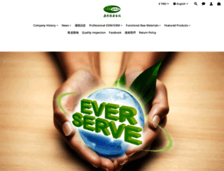 everserve.com.tw screenshot