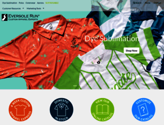 eversolerun.com screenshot