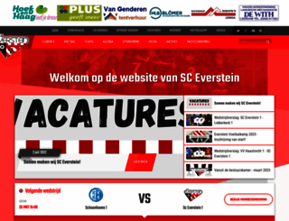 everstein.nl screenshot