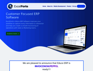 excelforte.com screenshot