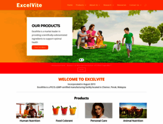 excelvite.com screenshot