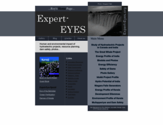 expert-eyes.org screenshot