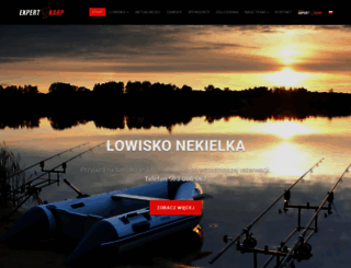expert-karp.pl screenshot
