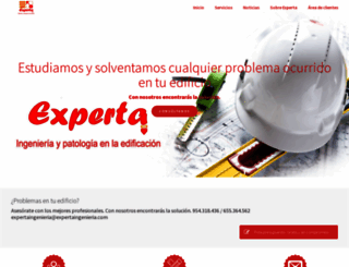 expertaingenieria.com screenshot