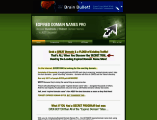 expired-domain-names-pro.com screenshot