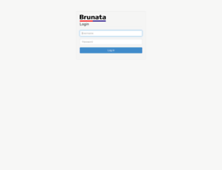 ext.brunata.com screenshot