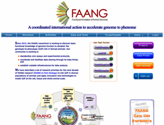 faang.org screenshot