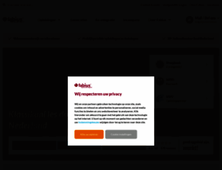 fabiusopleidingen.nl screenshot
