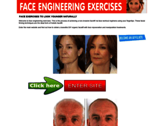 face-engineering-exercises.org screenshot