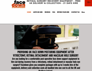 facedownsupporthire.com screenshot