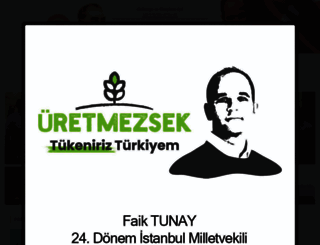faiktunay.com.tr screenshot
