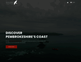 falconboats.co.uk screenshot