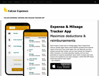 falconexpenses.com screenshot