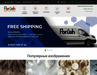 fbrush.ru screenshot
