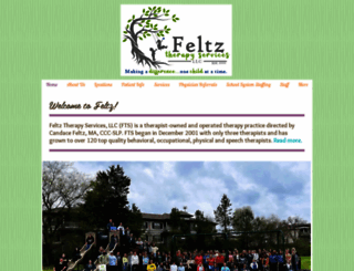 feltztherapy.com screenshot
