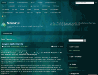femokul.wordpress.com screenshot