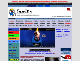 fencebilim.com screenshot