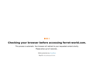 ferret-world.com screenshot