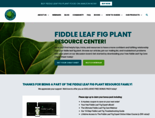 fiddleleaffigplant.com screenshot
