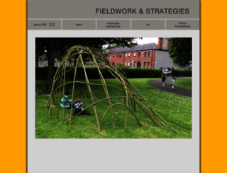 fieldworkandstrategies.com screenshot