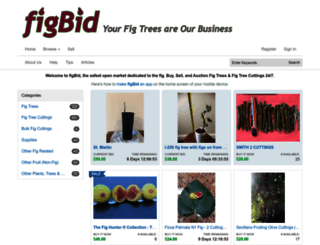 figbid.com screenshot