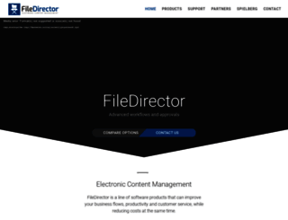filedirector.com screenshot