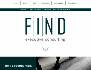 find-consulting.com screenshot