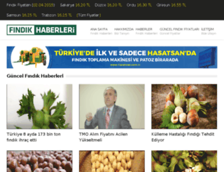 findikhaberleri.com screenshot