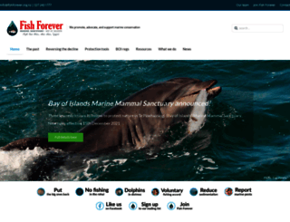 fishforever.org.nz screenshot