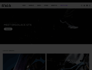 fiziksaddles.com screenshot