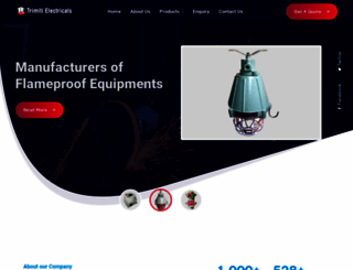 flameproofequipmentsindia.com screenshot