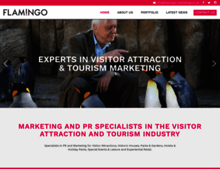 flamingo-marketing.co.uk screenshot