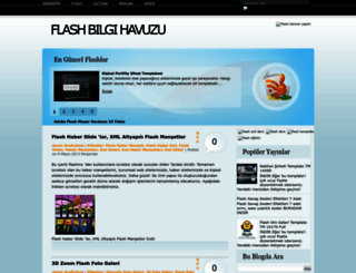 flashbilgi.blogspot.com screenshot