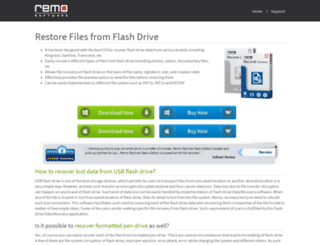 flashdrive-recovery.com screenshot
