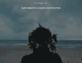 flexledlights.com screenshot