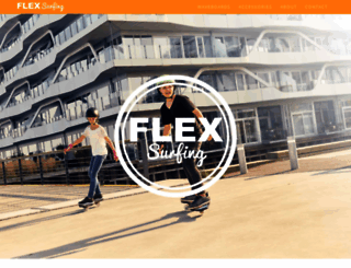 flexsurfing.com screenshot