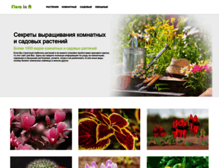 florainhouse.ru screenshot