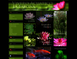 floresacuaticas.com.ar screenshot