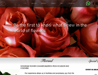 florsudcompany.com screenshot