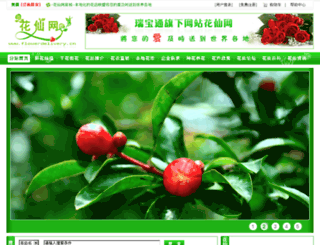 flowerdelivery.cn screenshot