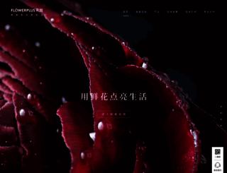 flowerplus.cn screenshot
