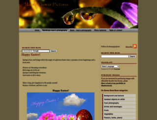 flowers-macrophotography.blogspot.com screenshot