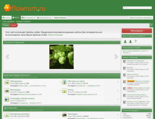 flowrum.ru screenshot