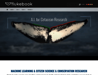 flukebook.org screenshot