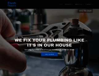 flushdrains.com screenshot