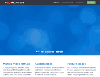 flvplayer.com screenshot