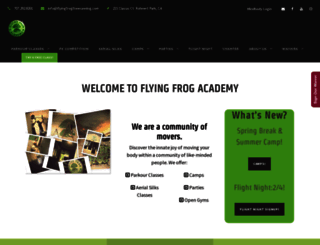 flyingfrogacademy.com screenshot
