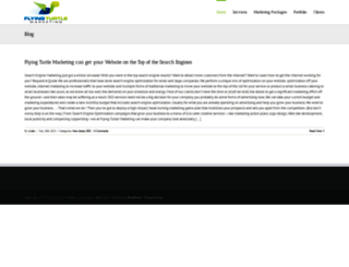 flyingturtlemarketing.com screenshot