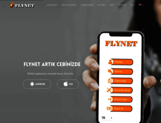 flynet.net screenshot