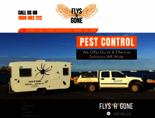 flysrgone.com.au screenshot